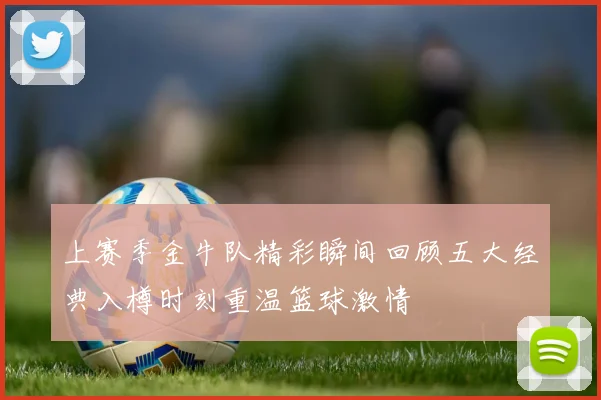 上赛季金牛队精彩瞬间回顾五大经典入樽时刻重温篮球激情